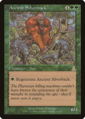 Ancient Silverback Ancient Silverback