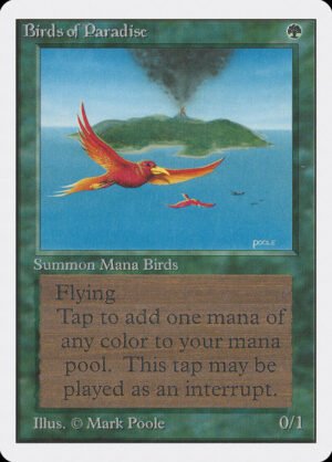 Birds of Paradise (2ED-187)