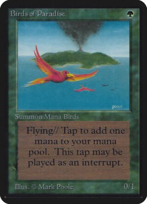 Birds of Paradise (LEA-186)