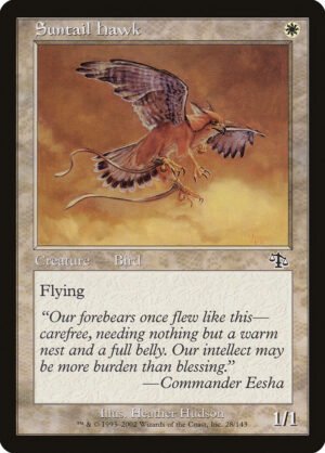 Suntail Hawk (JUD-28)