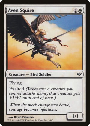 Aven Squire (CON-3)