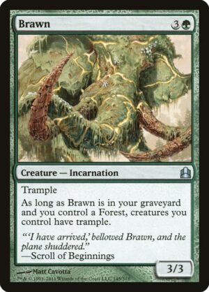 Brawn (CMD-145)