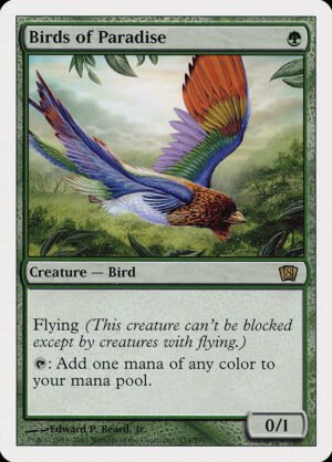 Birds of Paradise (8ED-233)
