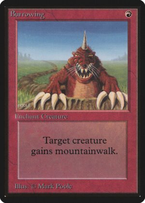 Burrowing (LEB-139)