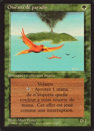 Birds of Paradise (FBB-187)