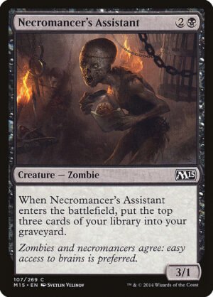 Necromancer’s Assistant Necromancer’s Assistant