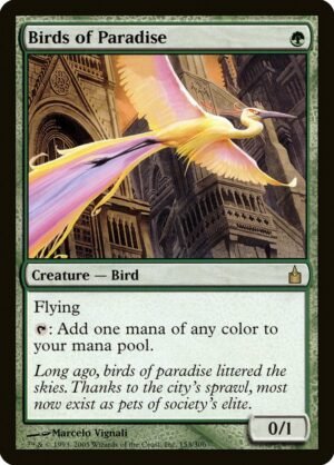 Birds of Paradise (RAV-153)