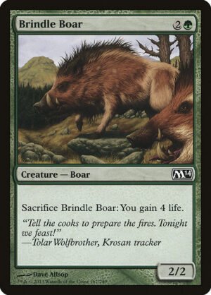 Brindle Boar (M14-167)
