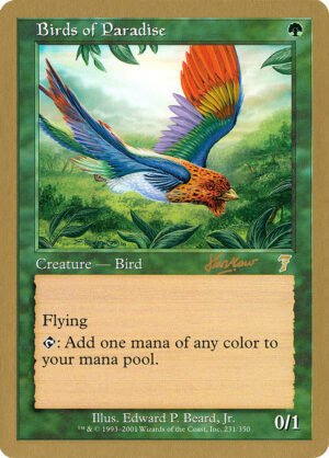 Birds of Paradise (WC02-shh231)