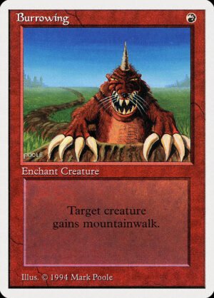 Burrowing (SUM-140)