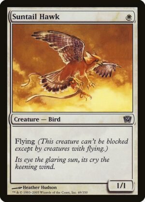 Suntail Hawk (9ED-49?)