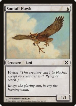 Suntail Hawk (1E-49)