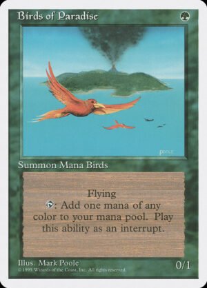 Birds of Paradise (4ED-234)