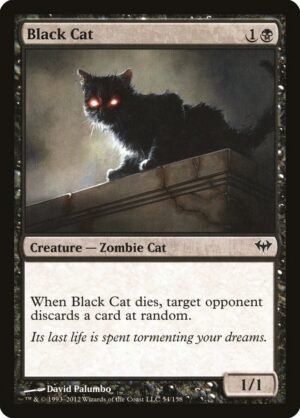 Black Cat (DKA-54)