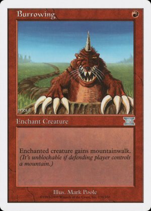 Burrowing (6ED-170)