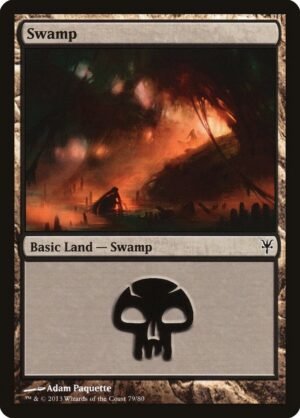 Swamp (DDK-79)