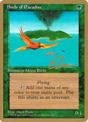 Birds of Paradise (PTC-et234)