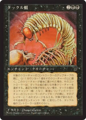 Takklemaggot (BCHR-37)