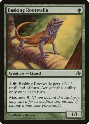 Basking Rootwalla (DDD-2)