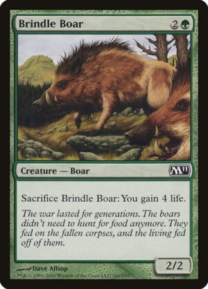 Brindle Boar (M11-166)
