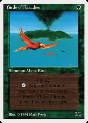 Birds of Paradise (SUM-187)