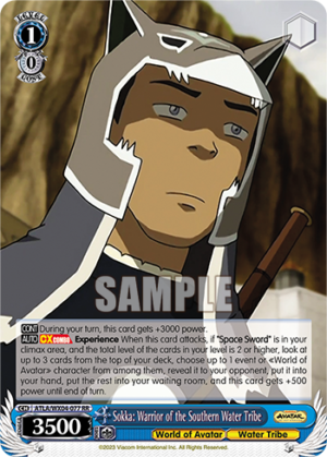 Sokka: Warrior of the Southern Water Tribe