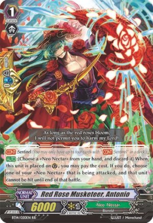 Red Rose Musketeer, Antonio
