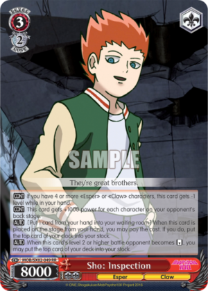 Sho: Inspection