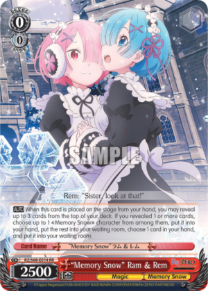 «Memory Snow» Ram & Rem