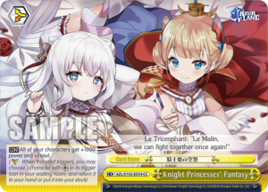 Knight Princesses’ Fantasy