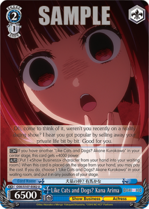 Like Cats and Dogs? Kana Arima