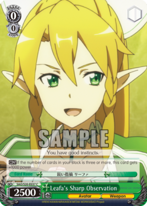 Leafa’s Sharp Observation