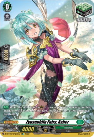 Zypsophila Fairy, Asher