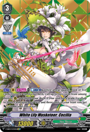 White Lily Musketeer, Cecilia