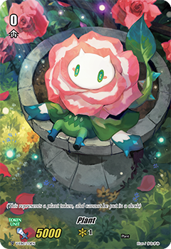 Plant Plant