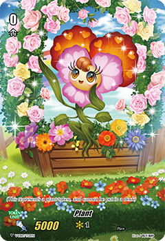Plant Plant