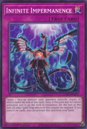 Infinite Impermanence (L26D-ENM19)