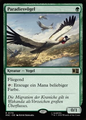 Birds of Paradise (MSC-170)