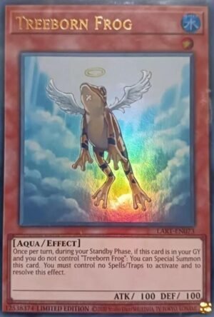 Treeborn Frog (LART-EN073)