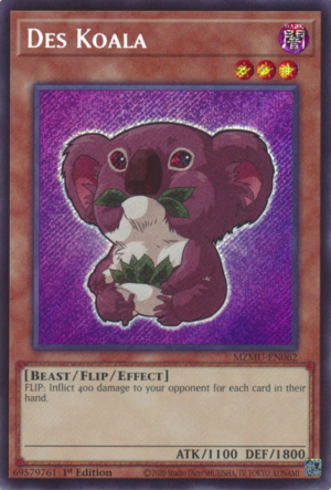 Des Koala (MZMU-EN062)