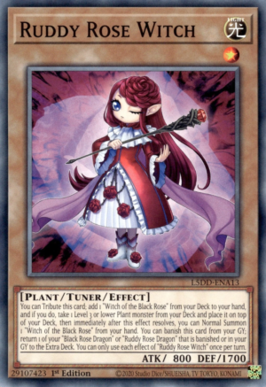 Ruddy Rose Witch (L5DD-ENA13)